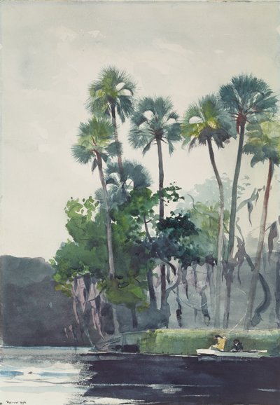 Homosassa River, 1904 by Winslow Homer
